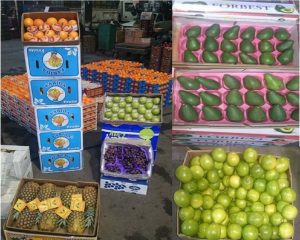 مبارزه با قاچاق میوه از ضرورت های اقتصادی و بهداشتی