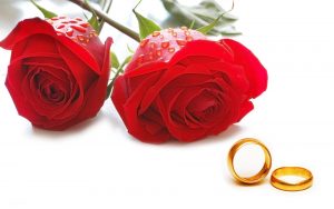 مجمع خیرین ازدواج در استان البرز آغاز به کار کرد