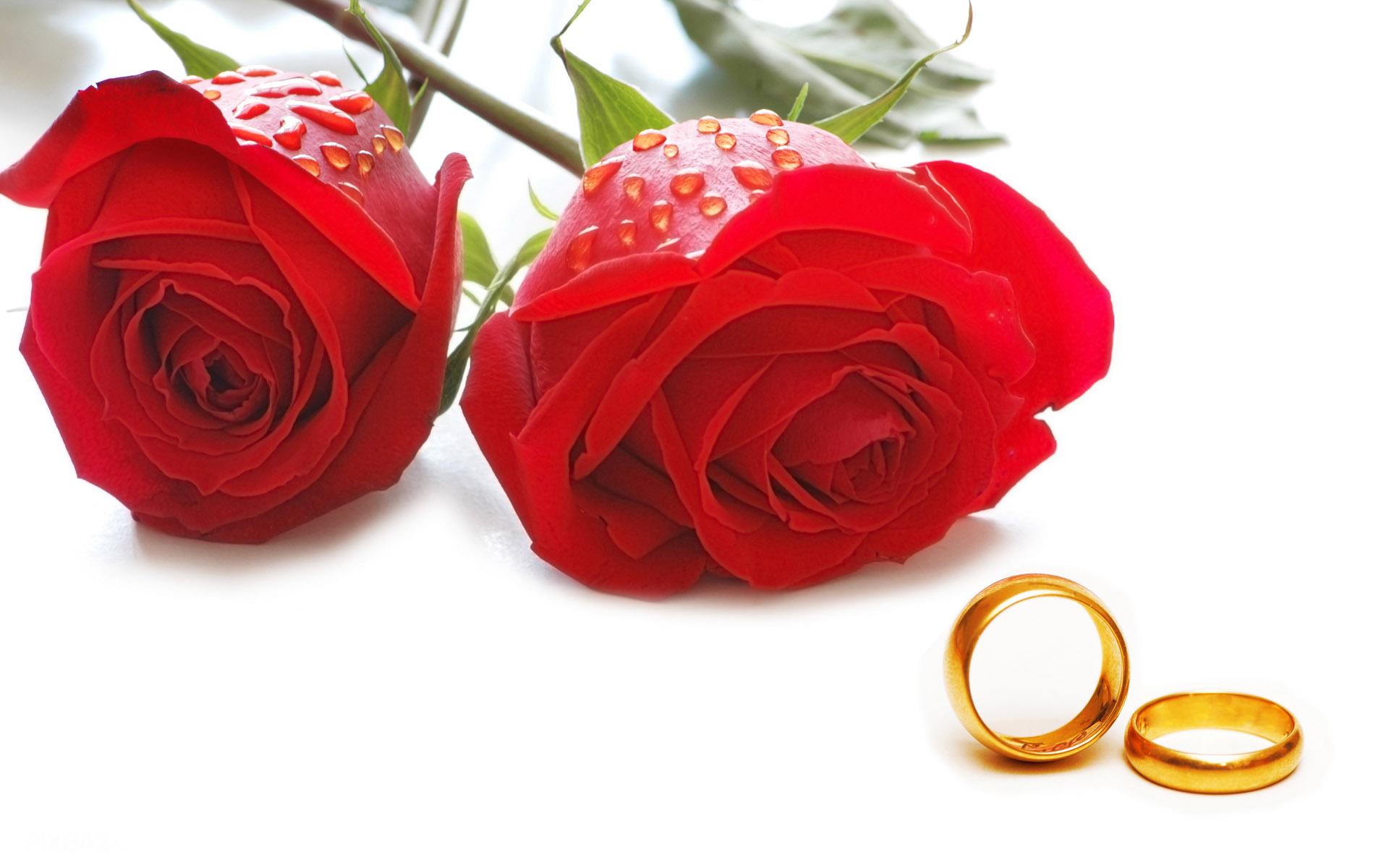 اعطای تسهیلات ازدواج دانشجویان دانشگاه آزاد به مبلغ ۱۰میلیون تومان