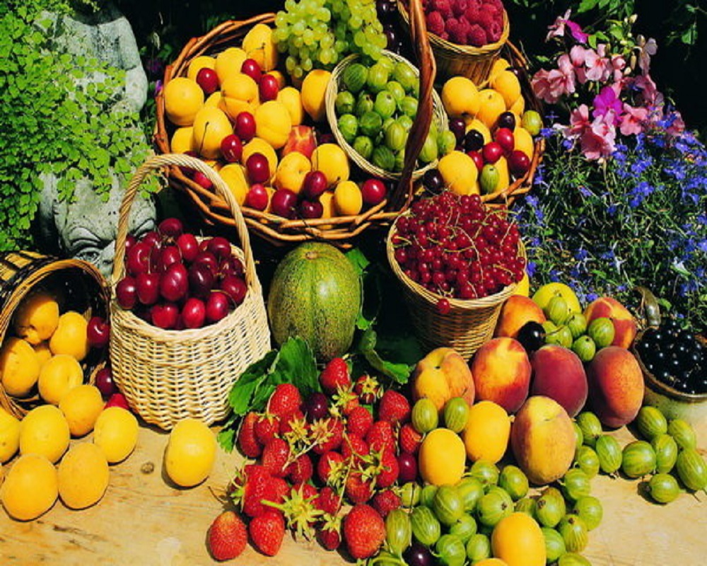 برنامه ریزی قاچاقچیان برای واردات گسترده میوه به بازار آغاز شد