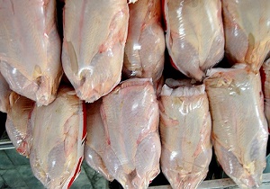 قیمت مرغ از روز دوشنبه کاهش پیدا می کند