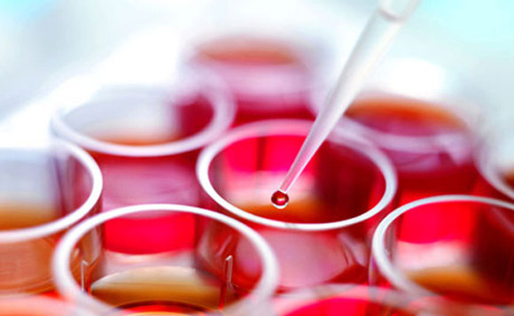 ساخت سلول های خونی انسان از سلول های بنیادین