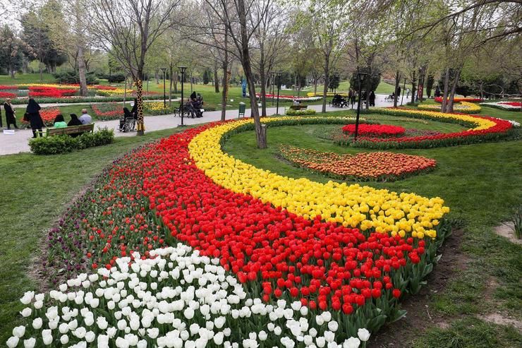 تعیین برنده مناقصه خرید گل و گیاه طرح استقبال از بهار